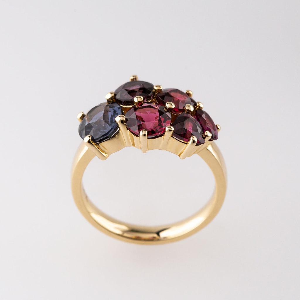 Forbidden Fruit Cluster ring in 9 carat Gold