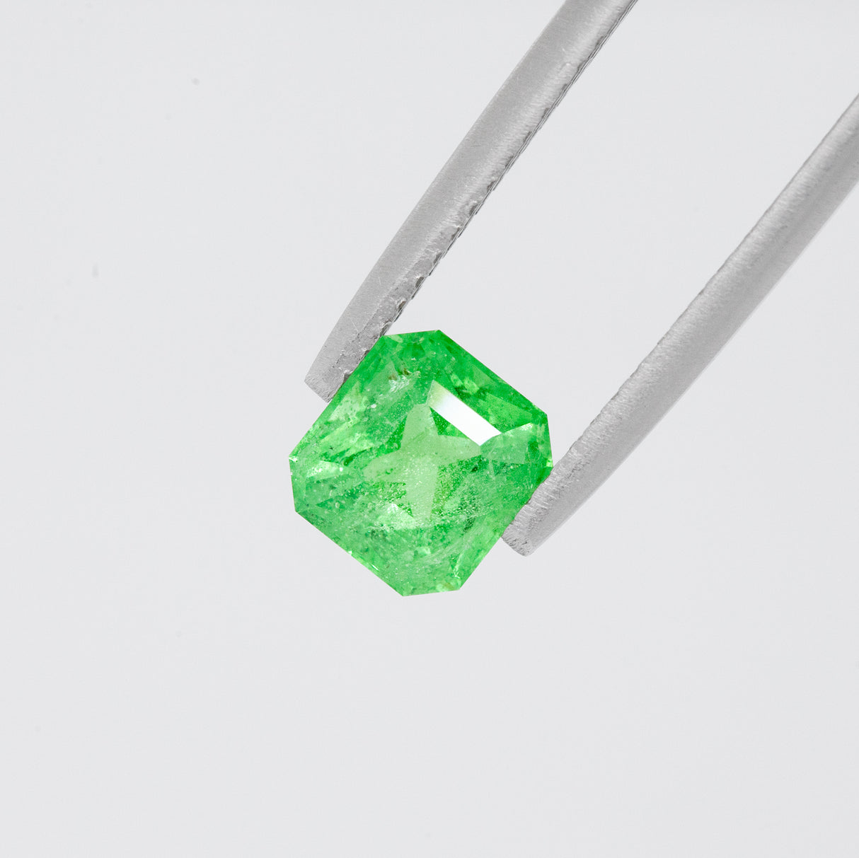 Brat Green Garnet Octagonal Step cut 1.63 carats