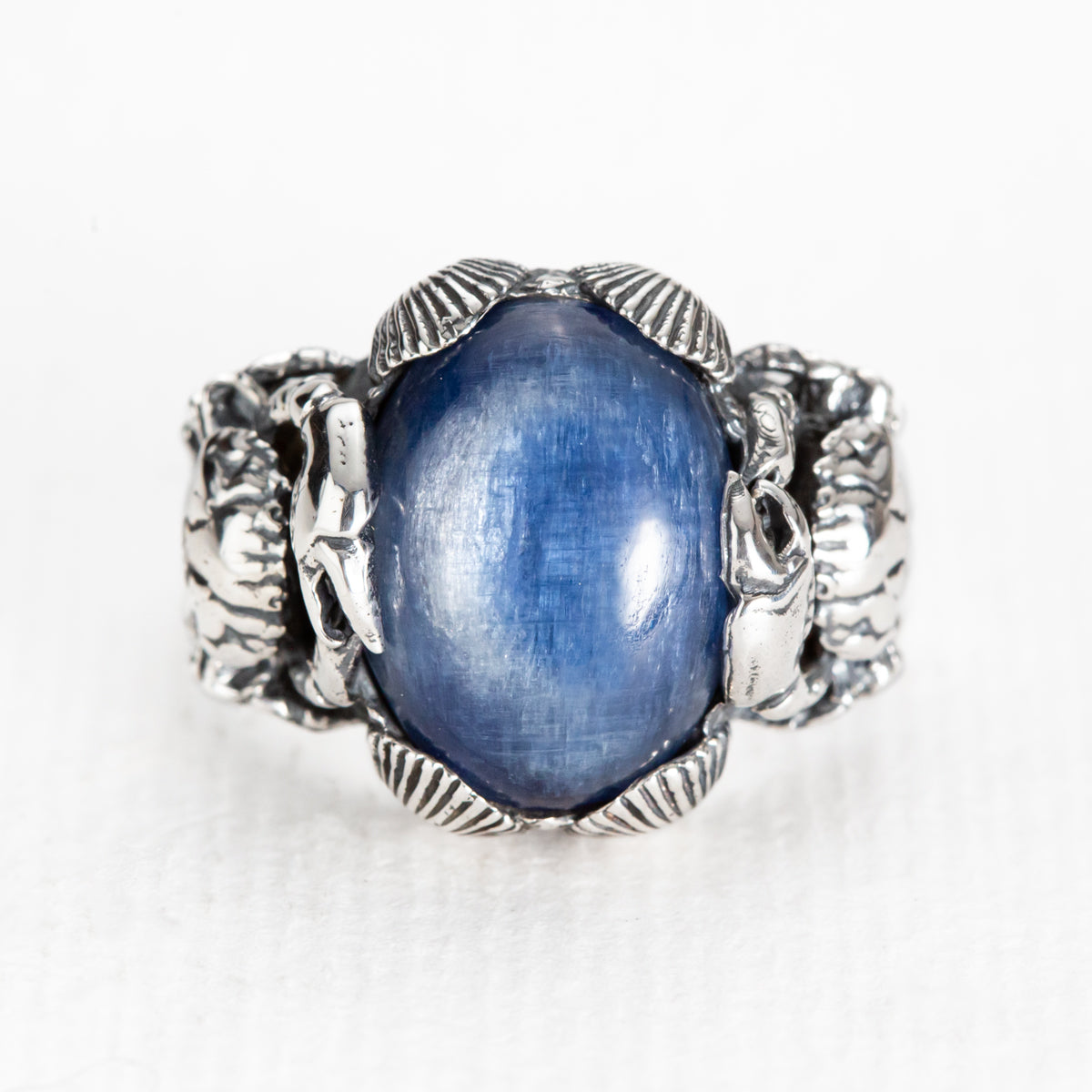 Under the Sea Ring in Kyanite