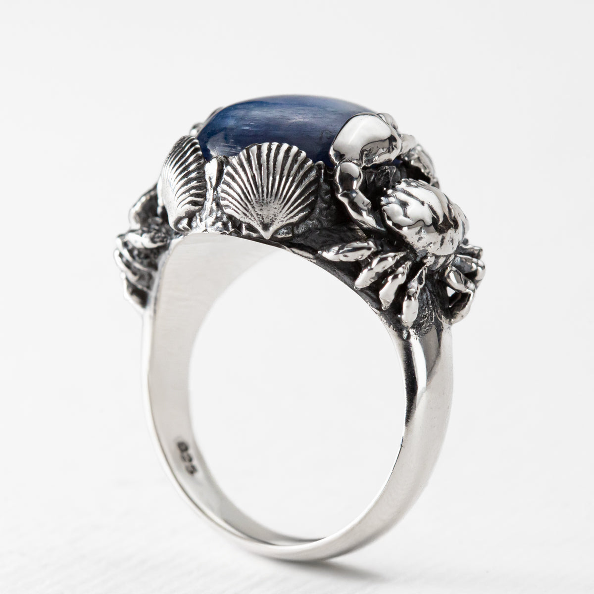 Under the Sea Ring in Kyanite