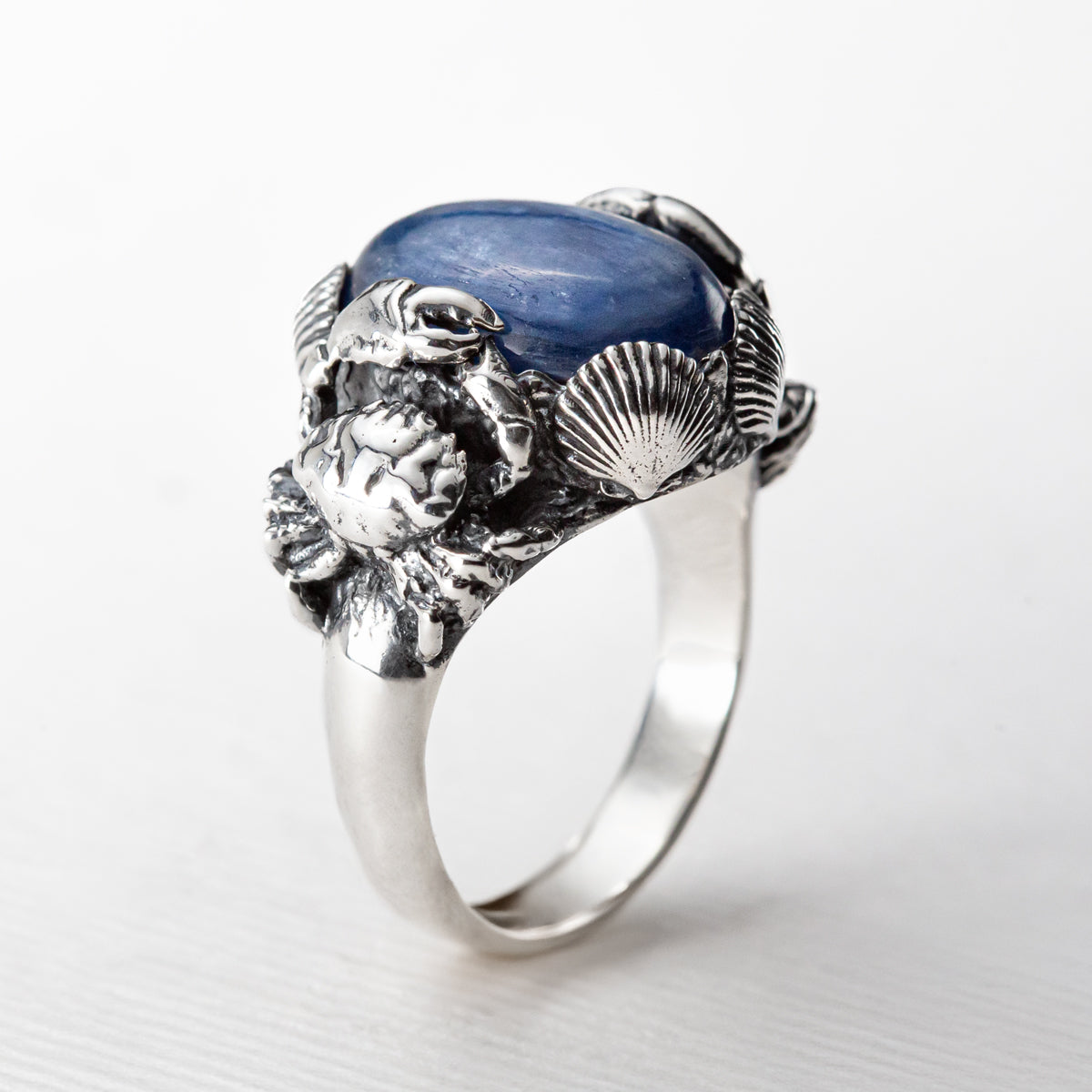 Under the Sea Ring in Kyanite