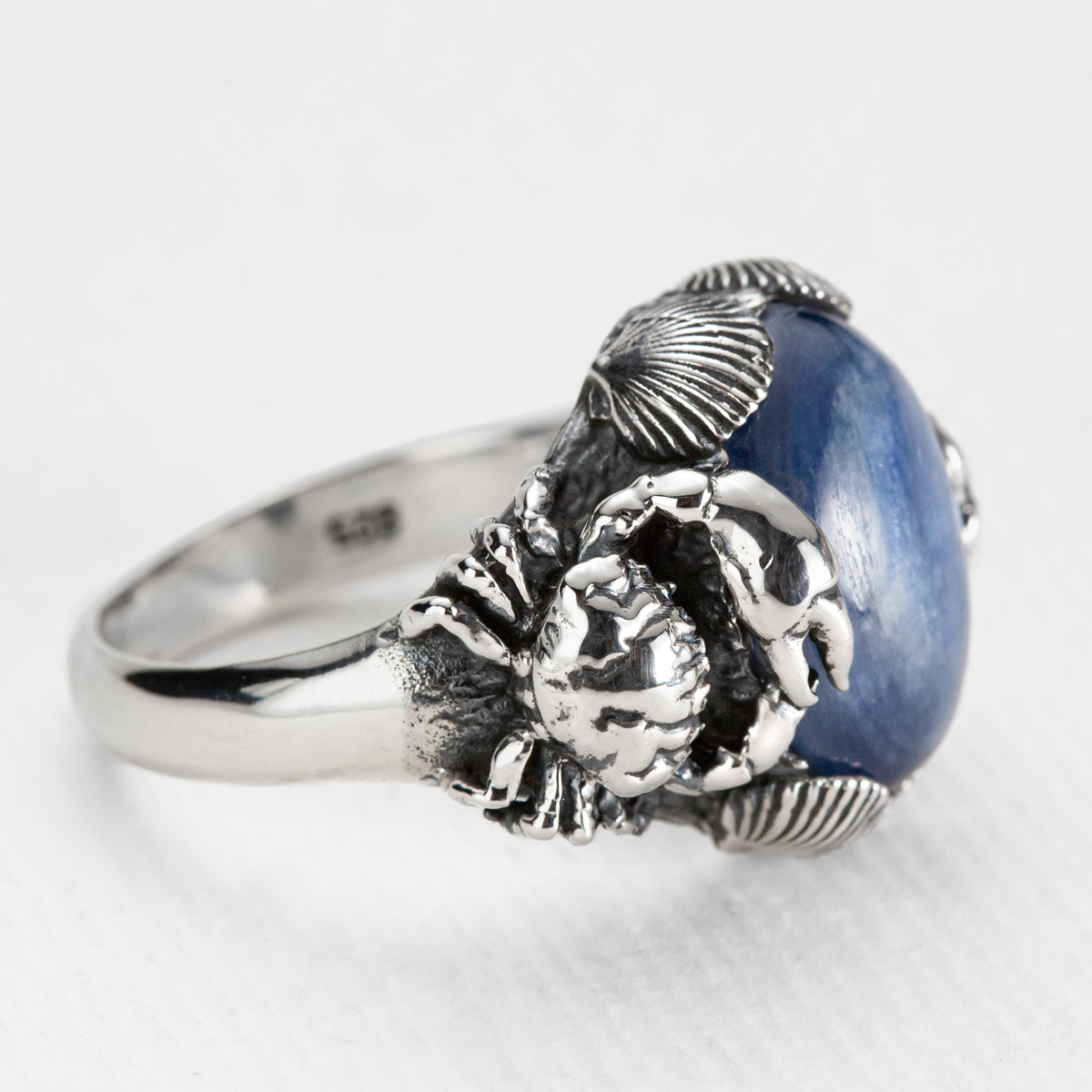 Under the Sea Ring in Kyanite