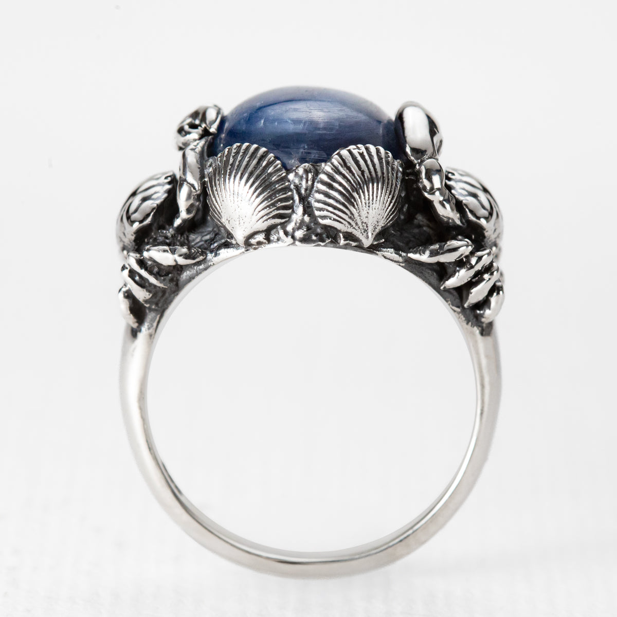 Under the Sea Ring in Kyanite