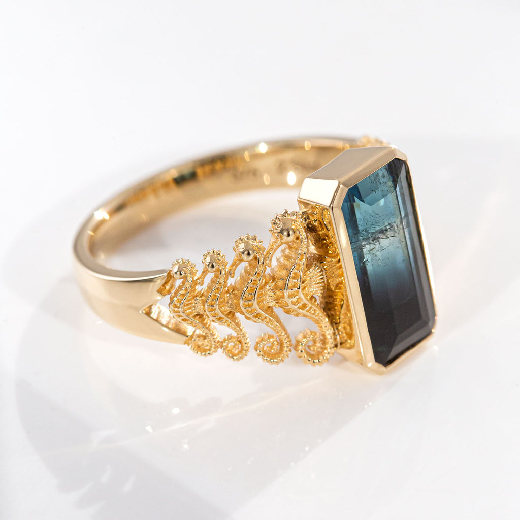 2.50 carat Fade to Black Tourmaline Seahorse Reflection ring in 9 carat Gold
