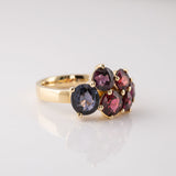 Forbidden Fruit Cluster ring in 9 carat Gold