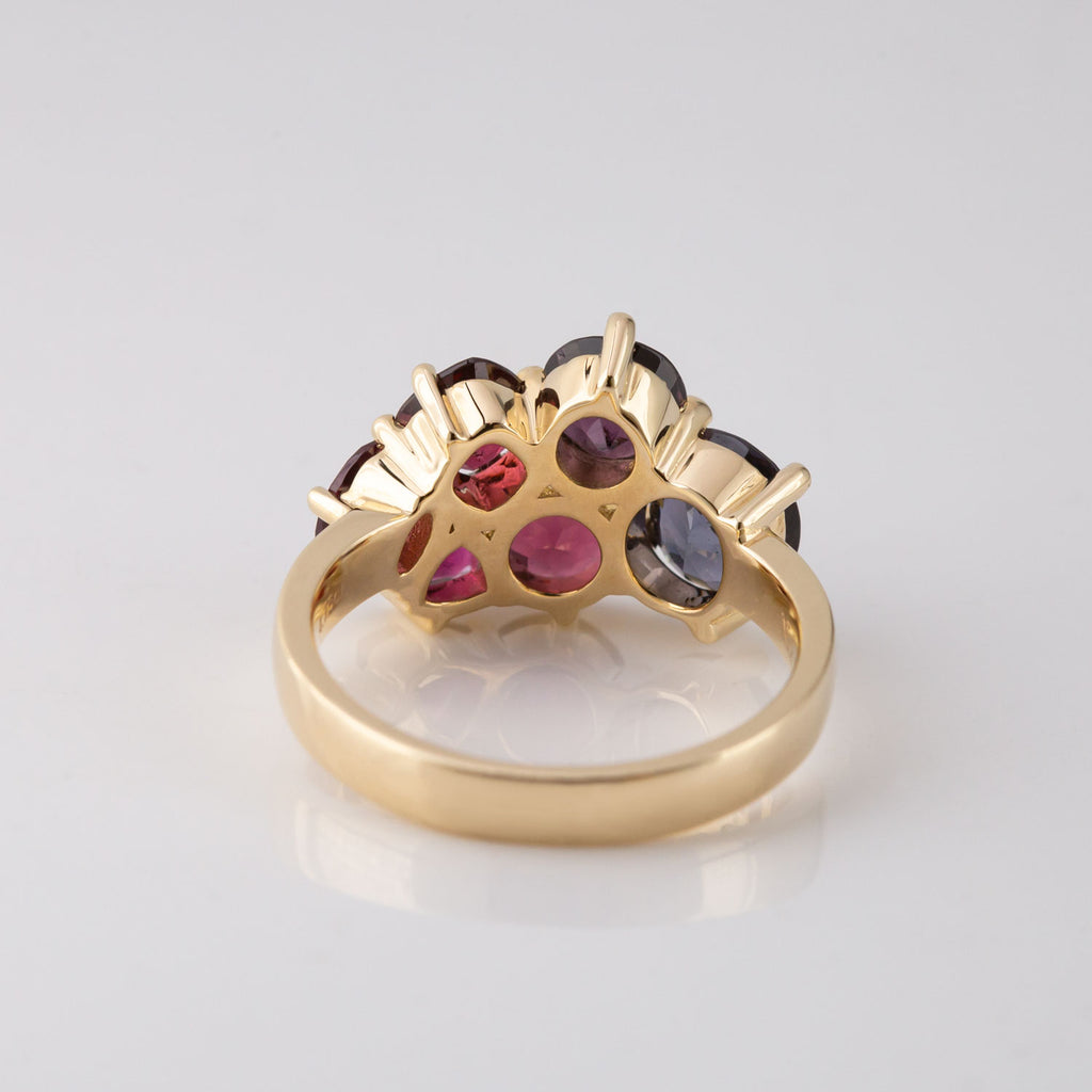 Forbidden Fruit Cluster ring in 9 carat Gold