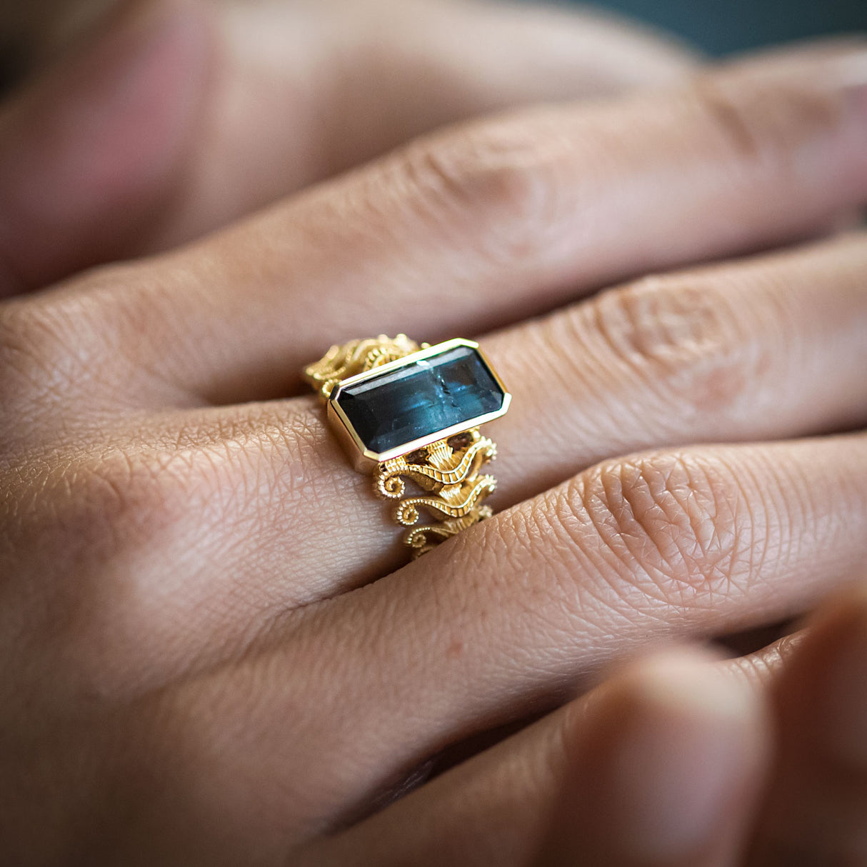 2.50 carat Fade to Black Tourmaline Seahorse Reflection ring in 9 carat Gold