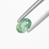 Opalescent Green Sapphire Oval faceted 1.79 carat