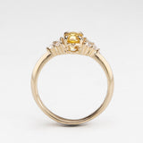Golden Sapphire Beetle Ring
