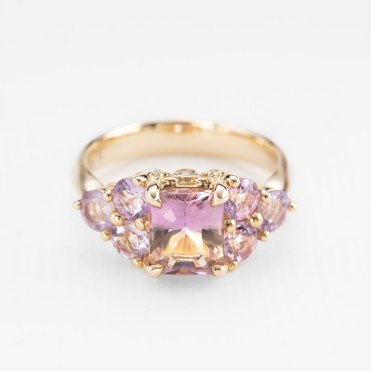 Lupin Fields Ametrine & Amethyst Ring