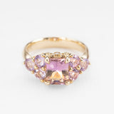 Lupin Fields Ametrine & Amethyst Ring