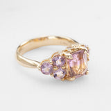 Lupin Fields Ametrine & Amethyst Ring