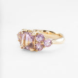 Lupin Fields Ametrine & Amethyst Ring