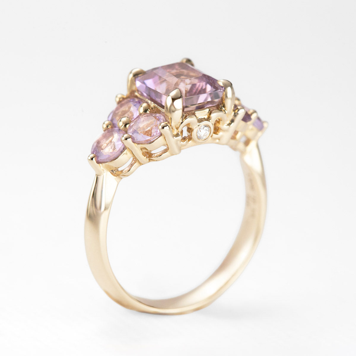 Lupin Fields Ametrine & Amethyst Ring