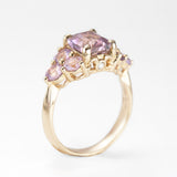 Lupin Fields Ametrine & Amethyst Ring