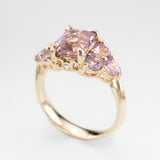 Lupin Fields Ametrine & Amethyst Ring