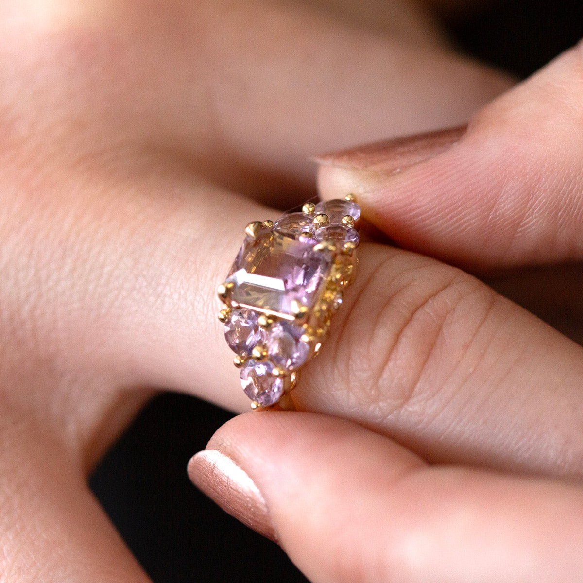 Lupin Fields Ametrine & Amethyst Ring