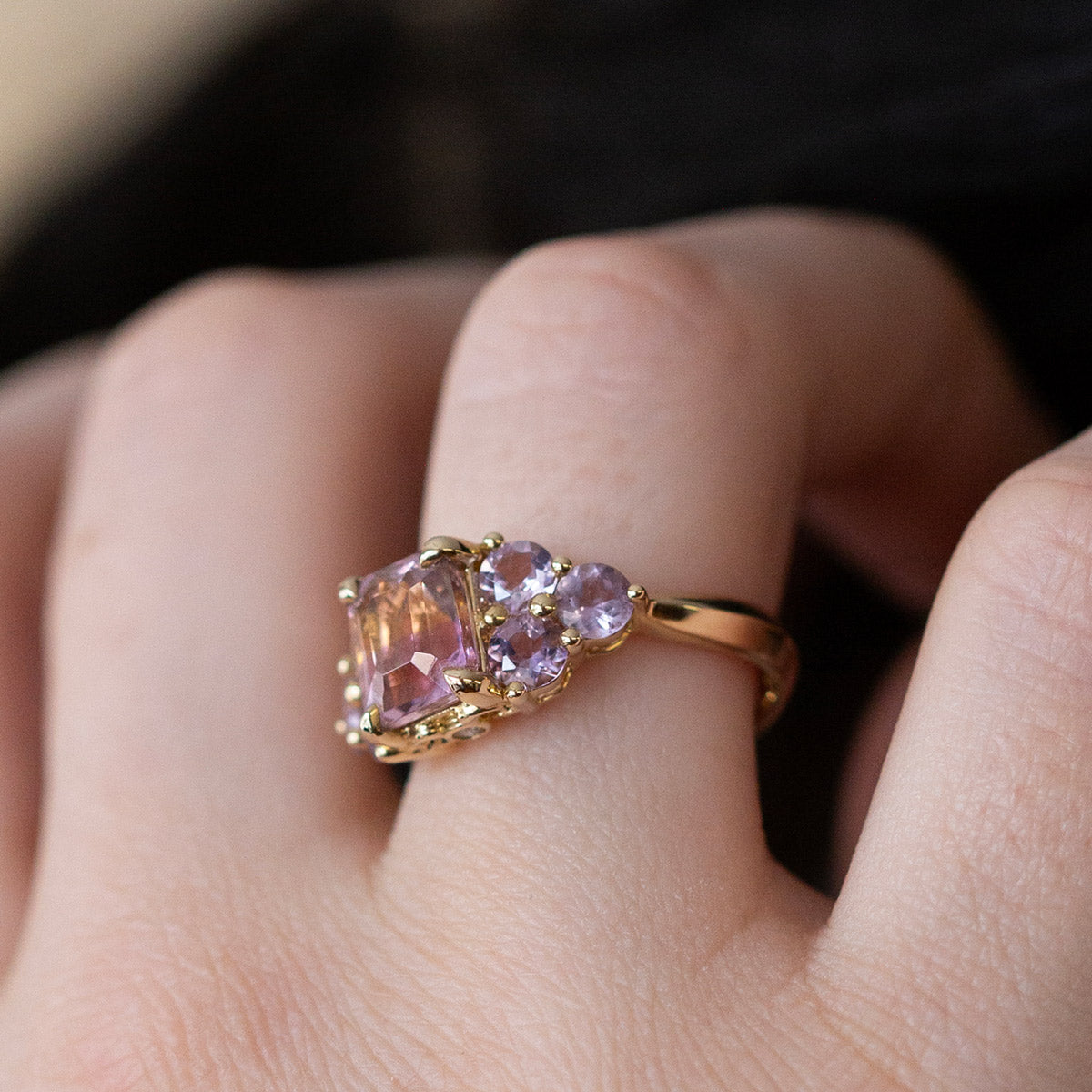 Lupin Fields Ametrine & Amethyst Ring