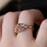 Lupin Fields Ametrine & Amethyst Ring