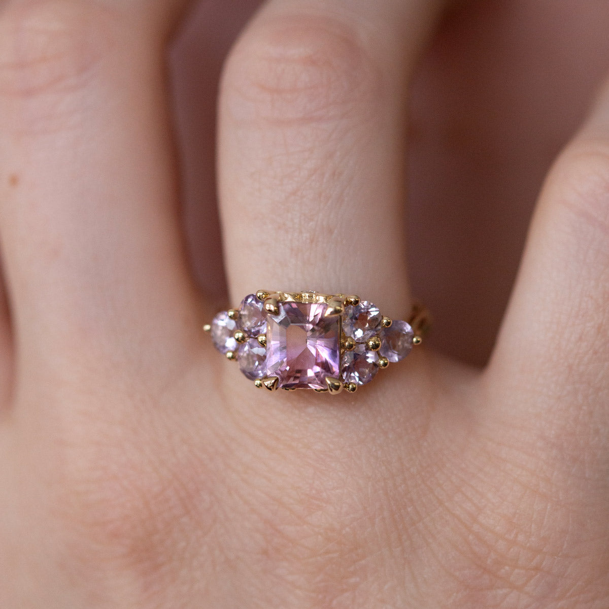 Lupin Fields Ametrine & Amethyst Ring