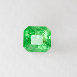 Brat Green Garnet Octagonal Step cut 1.63 carats