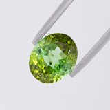 Mossy Tree Green Tourmaline Oval 4.16 carats