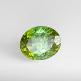 Mossy Tree Green Tourmaline Oval 4.16 carats