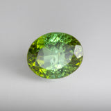 Mossy Tree Green Tourmaline Oval 4.16 carats