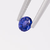 Blue Sapphire Oval 0.79 carat