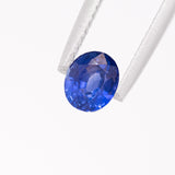 Blue Sapphire Oval 1.01 carat