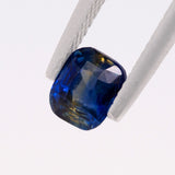 Blue Yellow Bi-Colour Sapphire Cushion 1.52 carat