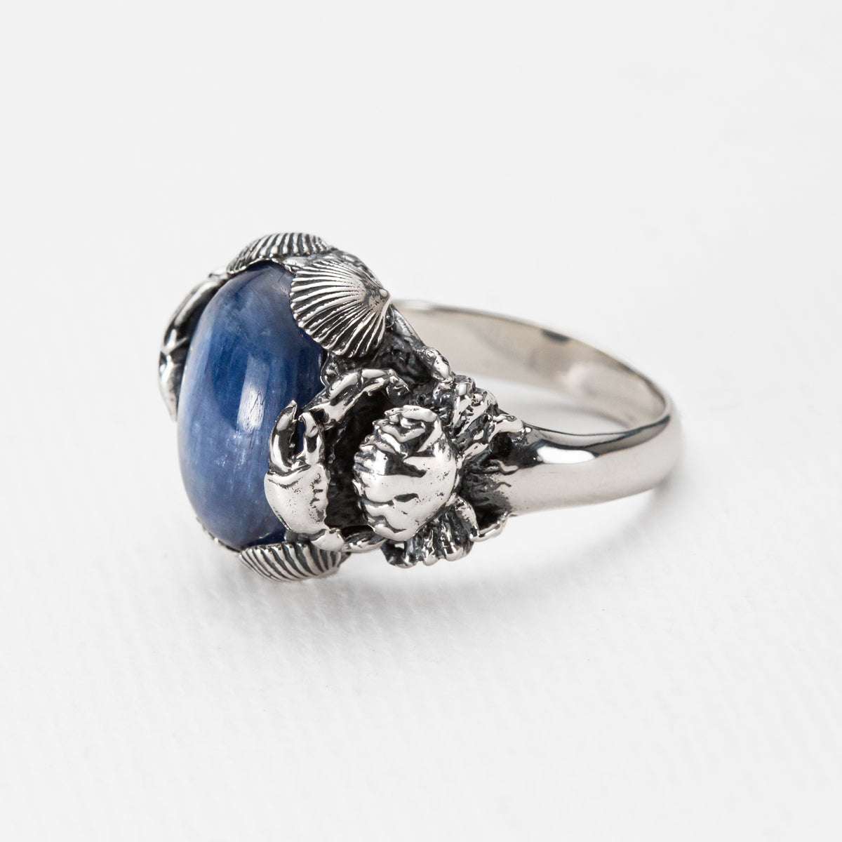Under the Sea Ring in Kyanite