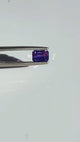 Twilight Bi-Colour Sapphire 1.95 carat