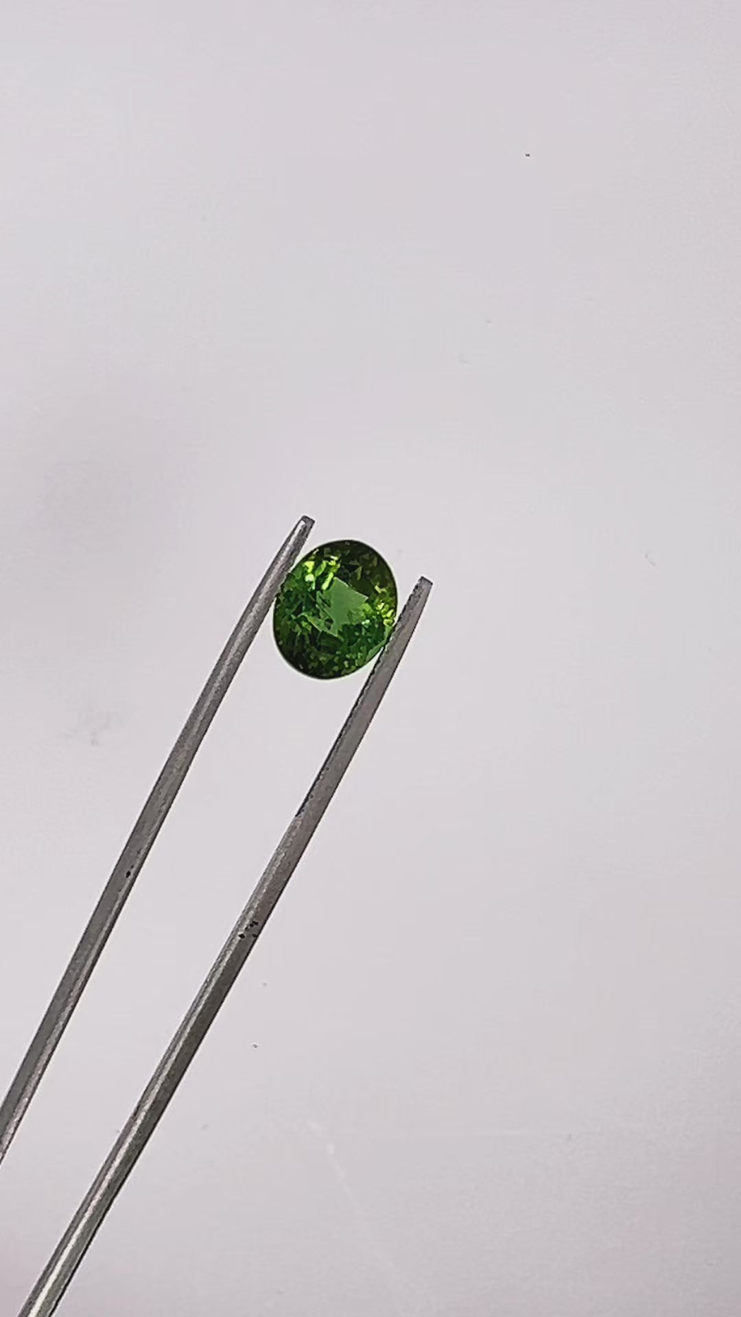 Mossy Tree Green Tourmaline Oval 4.16 carats