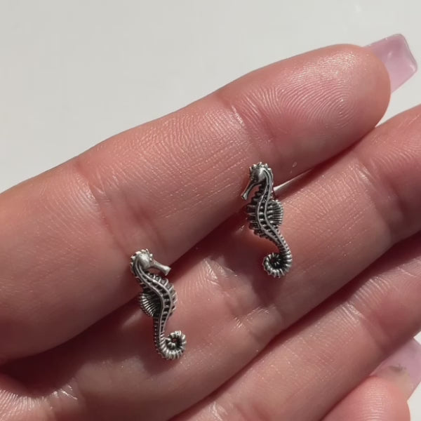 Seahorse Stud Earrings in Solid Gold