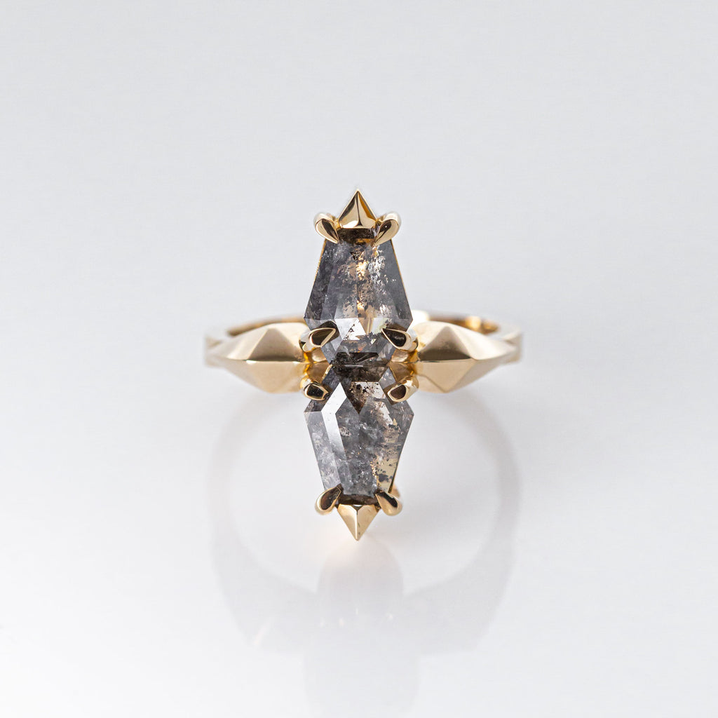 Mirror Galaxy ring with Twin Salt and Pepper Diamonds in 9 carat Yellow Gold